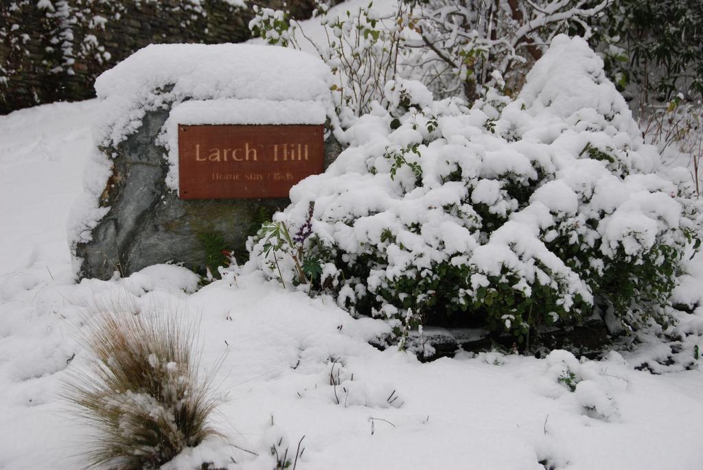 Larch Hill Bed & Breakfast 皇后镇 外观 照片